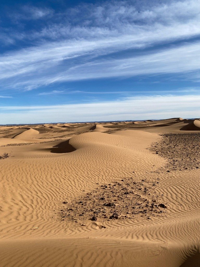 Wind Ripple Dune Landscape